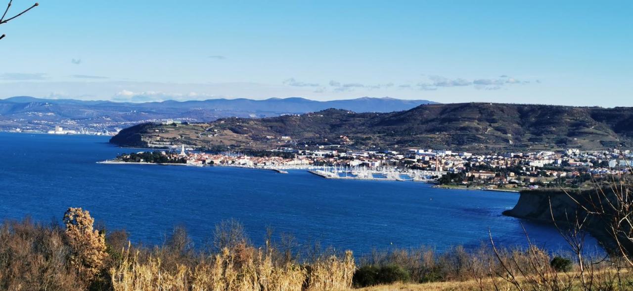 Sea House Villa Izola Dış mekan fotoğraf